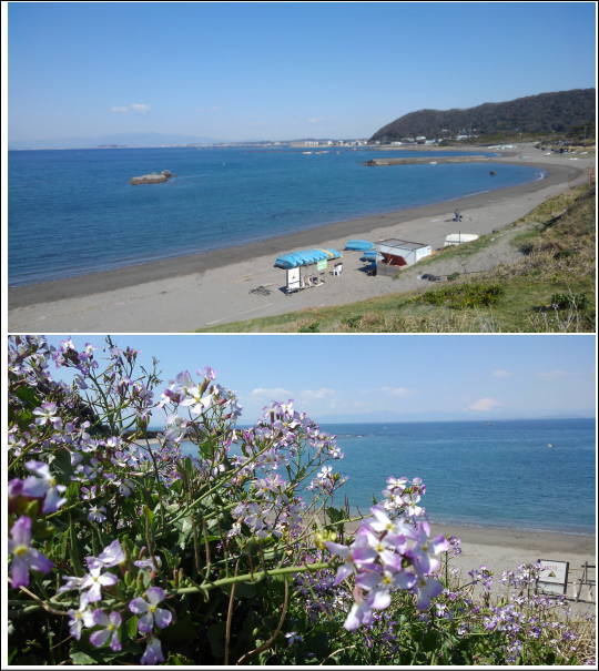 海遊びのシーズン到来か？